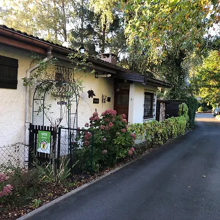 Le Petit Renard * 다보