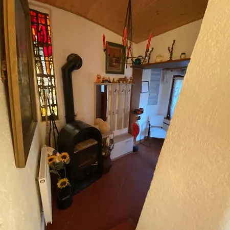 Le Petit Renard 다보