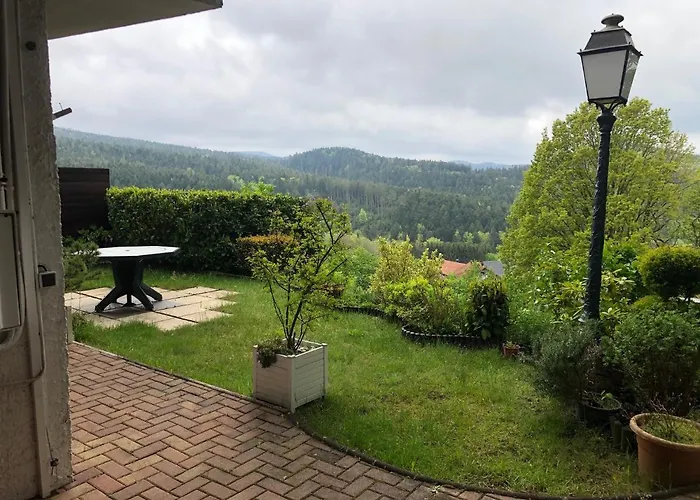 Le Petit Renard 다보