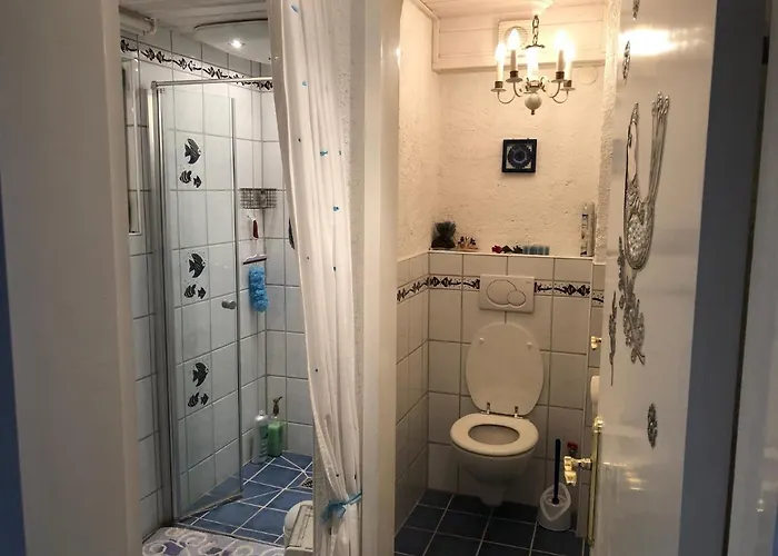 Le Petit Renard 다보