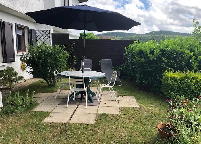 Le Petit Renard 다보