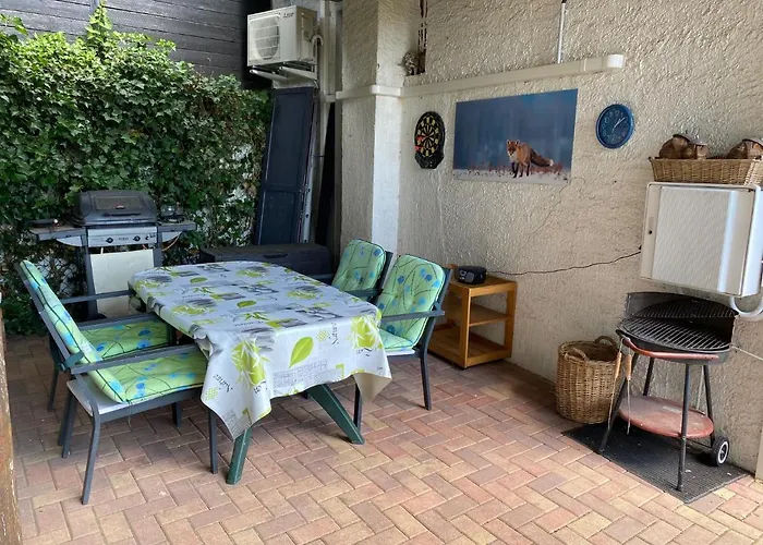 Le Petit Renard 다보