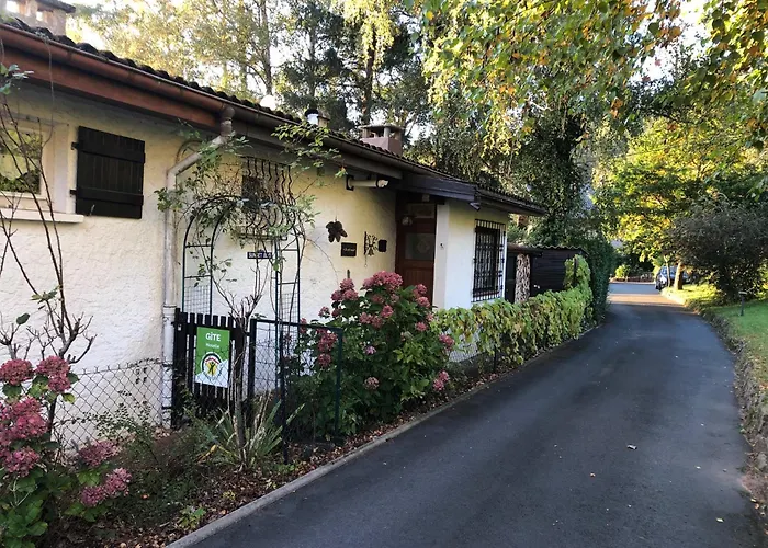 Le Petit Renard * Dabo