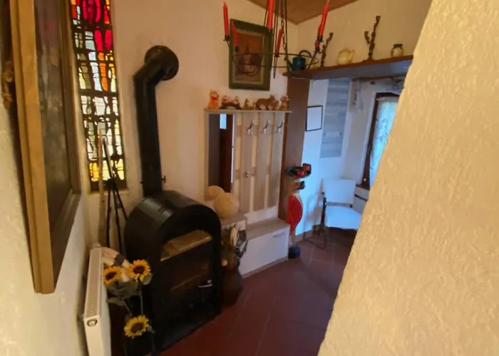 Le Petit Renard 다보